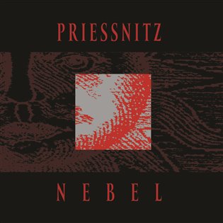 Nebel -  Priessnitz
