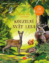Kouzelný svět lesa: Knížka plná samolepek - Ema Potužníková