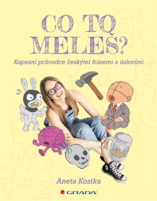 Co to meleš?: Kapesní průvodce českými frázemi a úslovími - Aneta Kostka
