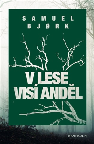 V lese visí anděl - Samuel Bjork