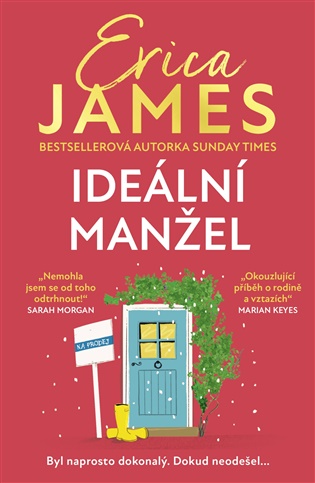Ideální manžel - Erica James