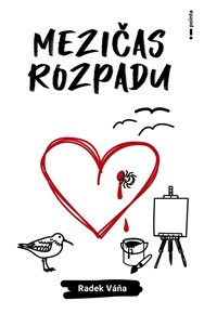 Mezičas rozpadu - Radek Váňa