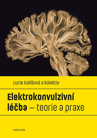 Elektrokonvulzivní léčba: teorie a praxe - Lucie Kališová