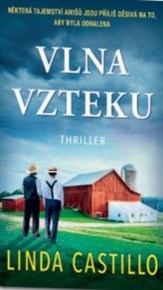 Vlna vzteku - Linda Castillo