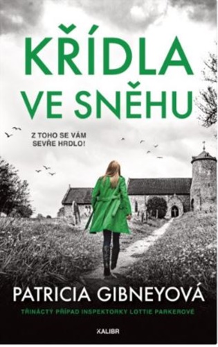 Křídla ve sněhu - Patricia Gibneyová