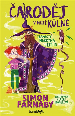 Čaroděj v mojí kůlně: Trampoty Merdyna Lítého - Simon Farnaby
