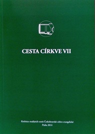 Cesta církve VII