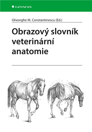 Obrazový slovník veterinární anatomie - Gheorghe M. Constantinescu
