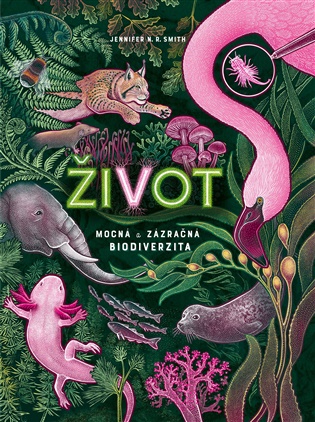 Život - Jennifer N. R. Smith