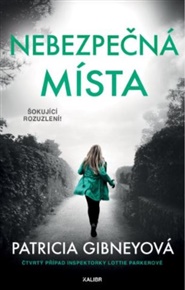 Nebezpečná místa - Patricia Gibneyová