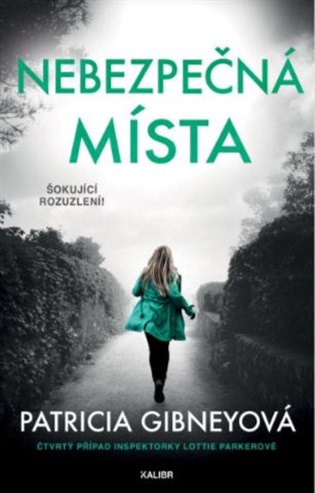 Nebezpečná místa - Patricia Gibneyová