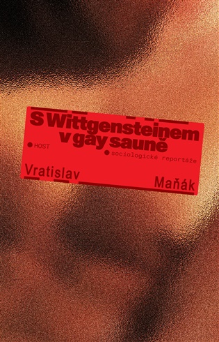 S Wittgensteinem v gay sauně - Vratislav Maňák