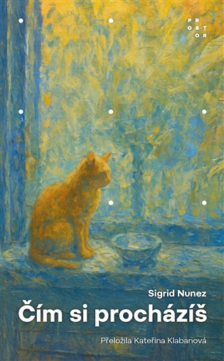 Čím si procházíš - Sigrid Nunez