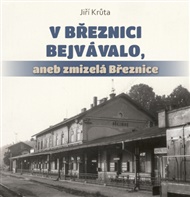 V Březnici bejvávalo,: aneb zmizelá Březnice - Jiří Krůta