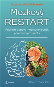 Mozkový restart - Albert Villoldo