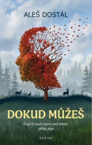 Dokud můžeš - Aleš Dostál