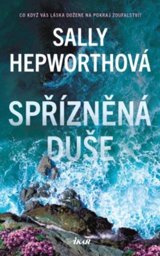 Spřízněná duše - Sally Hepworthová