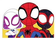 Moje omalovánky Spidey