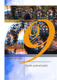 Devět pokračování - Adam Brožík