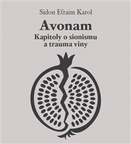Avonam: Kapitoly o sionismu a trauma viny - Karol Sidon