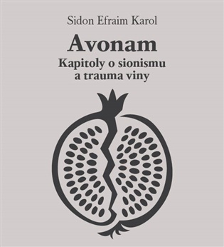 Avonam: Kapitoly o sionismu a trauma viny - Karol Sidon