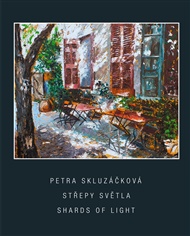 Střepy světla - Petra Skluzáčková