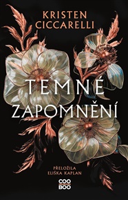 Temné zapomnění - Kristen Ciccarelli