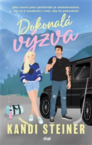 Dokonalá výzva - Kandi Steiner