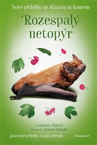 Nové příběhy se šťastným koncem – Rozespalý netopýr - Ladislava Horová
