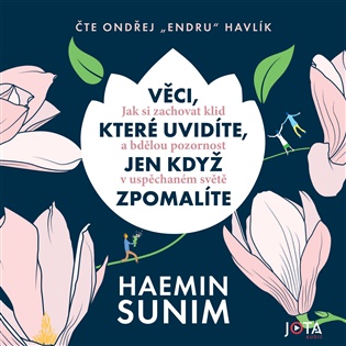 Věci, které uvidíte, jen když zpomalíte - Haemin Sunim