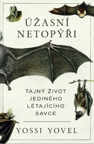 Úžasní netopýři - Yossi Yovel