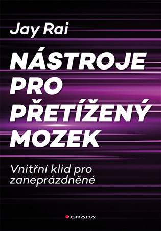 Nástroje pro přetížený mozek: Vnitřní klid pro zaneprázdněné - Jay Rai