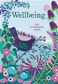 Wellbeing – Klíč ke každodenní pohodě - Sasha Morton