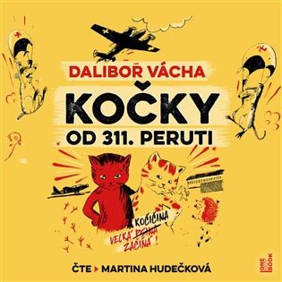 Kočky od 311. peruti - Dalibor Vácha