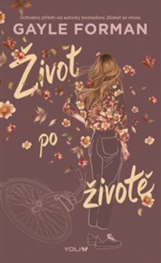 Život po životě - Gayle Forman