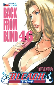Bleach 46: Back From Blind - Tite Kubo