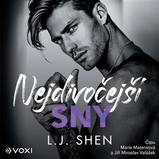 Nejdivočejší sny - L. J. Shen