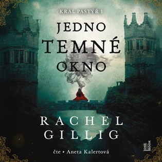 Jedno temné okno - Rachel Gilling