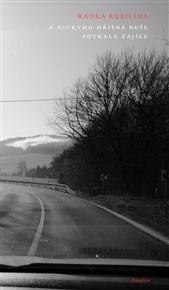 A Nickyho hříšná duše potkala zajíce - Radka Rubilina