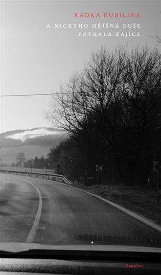 A Nickyho hříšná duše potkala zajíce - Radka Rubilina