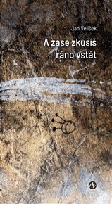 A zase zkusíš ráno vstát - Jan Velíšek