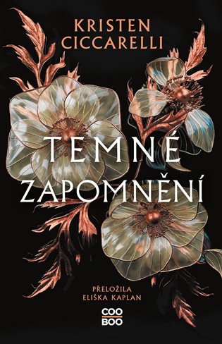 Temné zapomnění - Kristen Ciccarelli