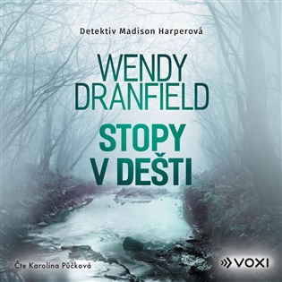 Stopy v dešti - 
