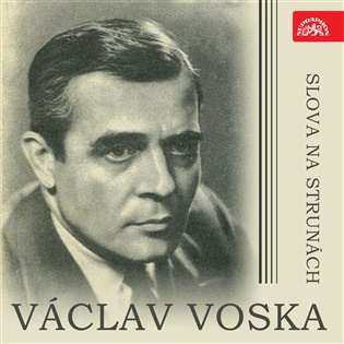 Slova na strunách - Paul Verlaine