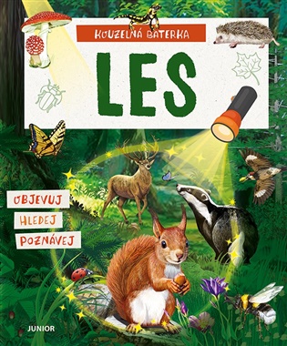 Kouzelná baterka: Les - Elina Roth