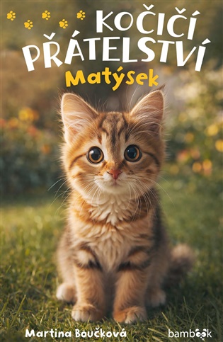Kočičí přátelství - Matýsek - Martina Boučková
