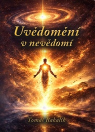 Uvědomění v nevědomí - Tomáš Bakalík