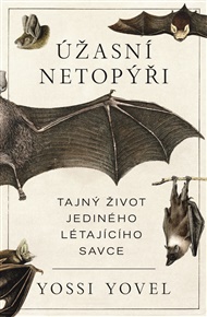 Úžasní netopýři - Yossi Yovel