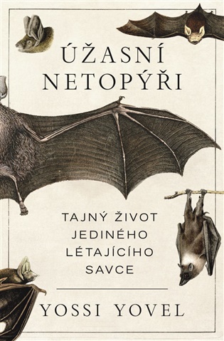 Úžasní netopýři - Yossi Yovel