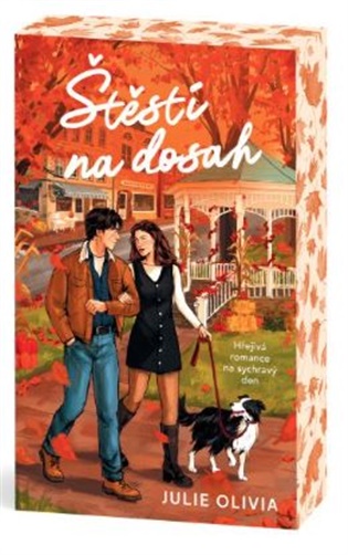 Štěstí na dosah - Julie Olivia